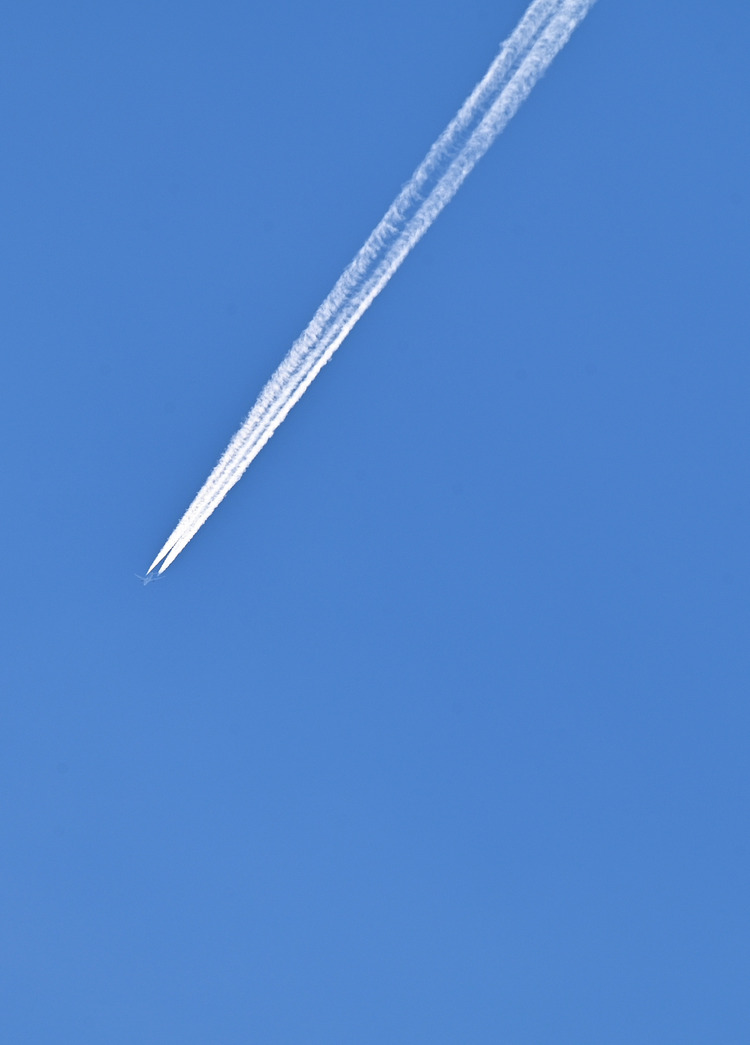 Z6ii1_108495