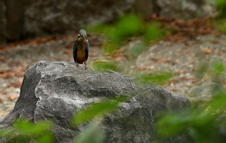 D5003_084281