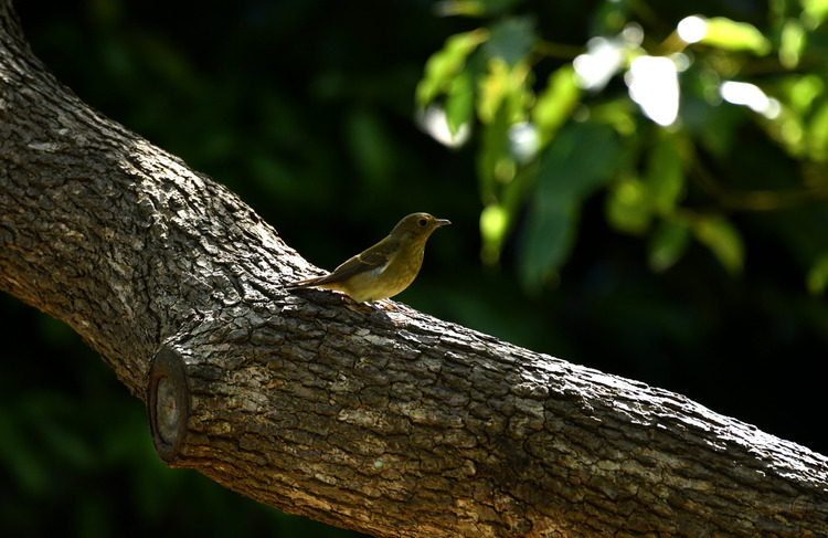 D5003_113848_00