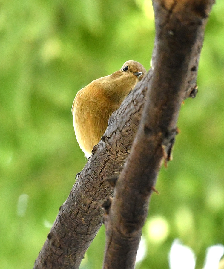 D5003_120049