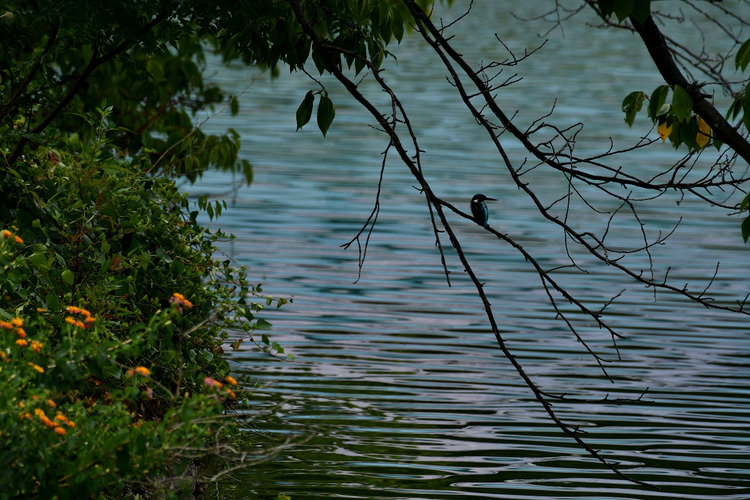 D5003_085371
