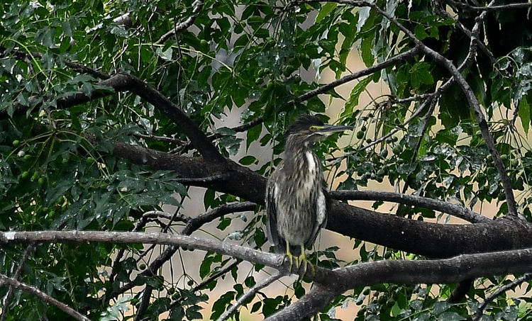 D5003_085436