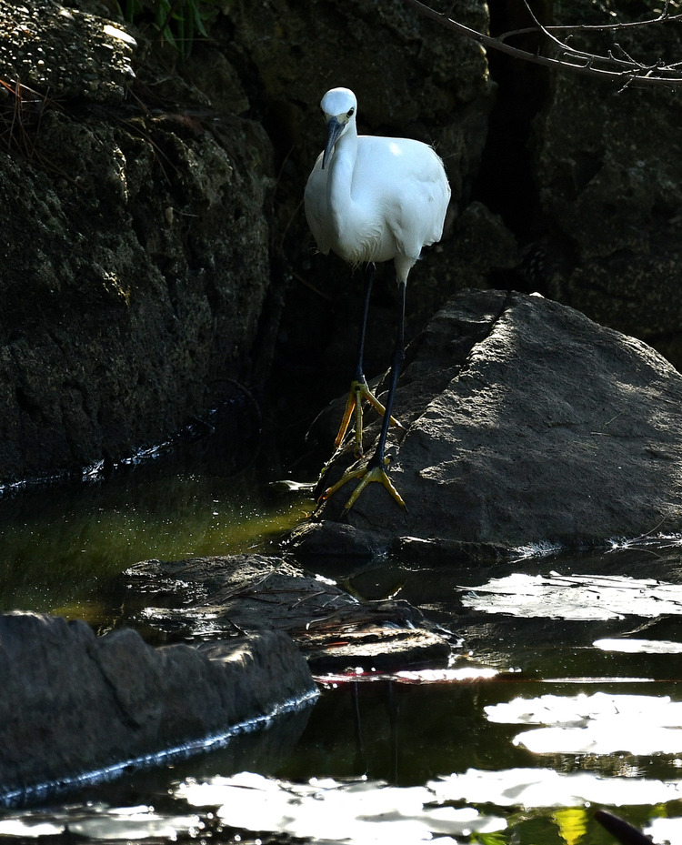 D5003_085908