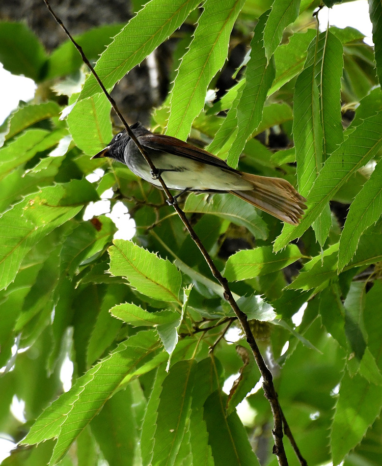 D5003_085537