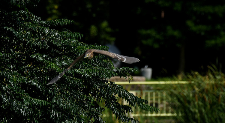 D5003_075169