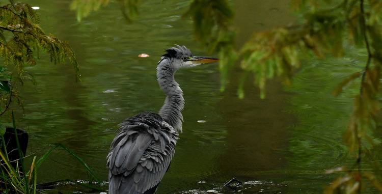 D5003_112887