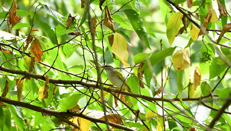 D5003_080487