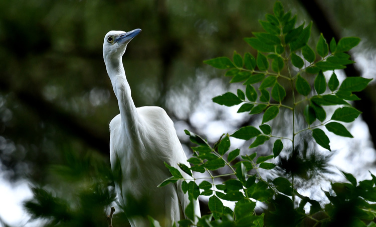 D5003_110607