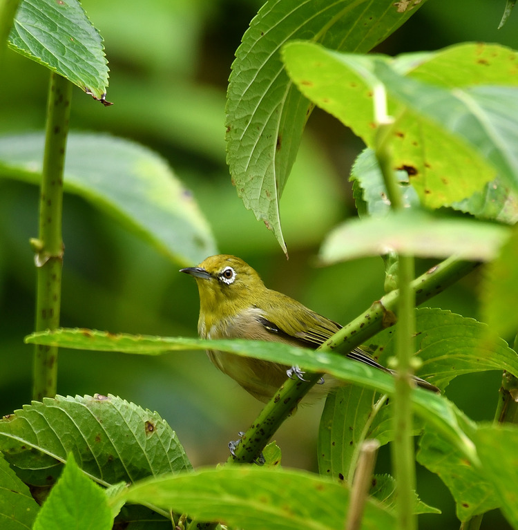 D5003_080558