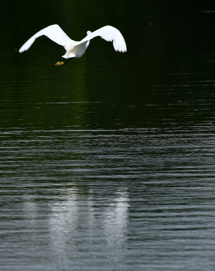 D5003_083234
