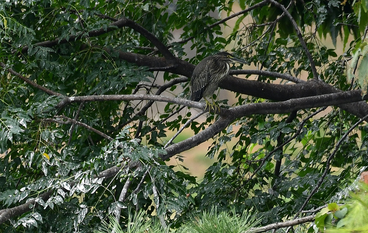 D5003_085441
