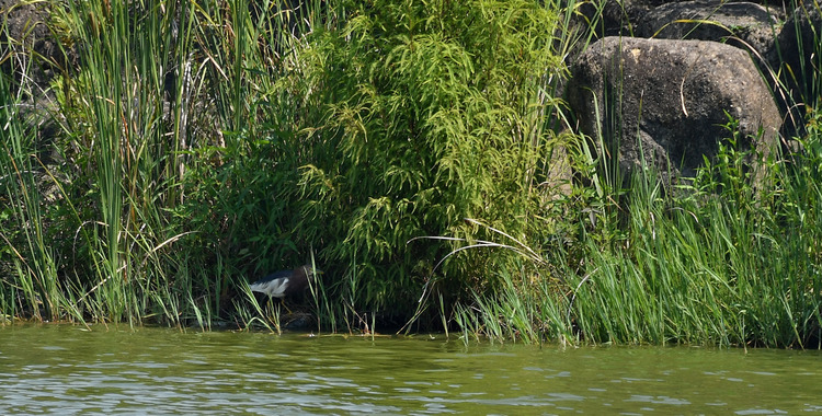 D5003_077670
