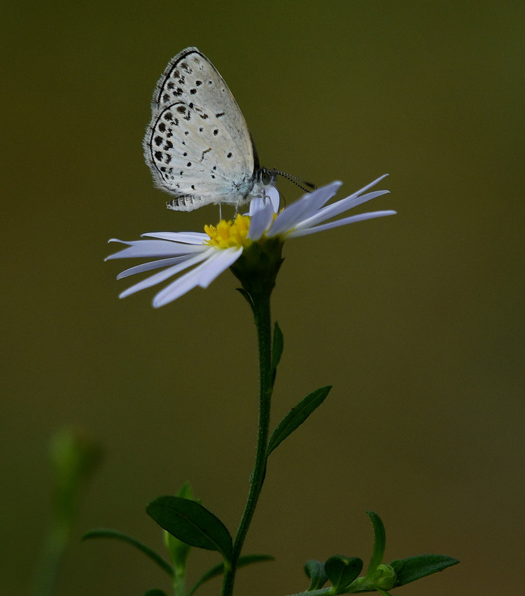 D5003_086301