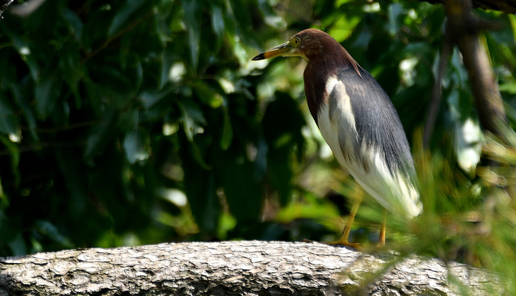 D5003_077907