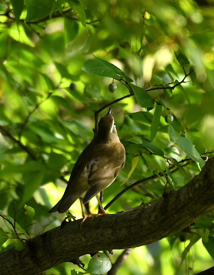 D5003_110047