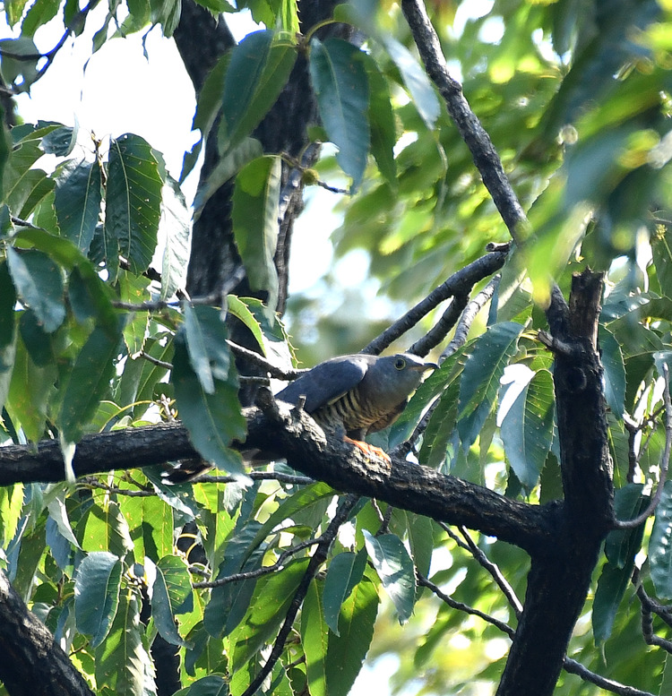 D5003_077984