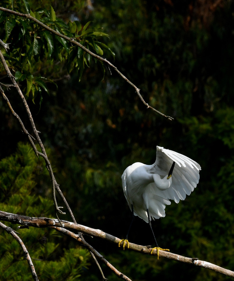 D5003_080086