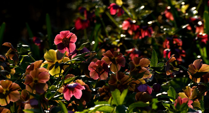 D5003_031659