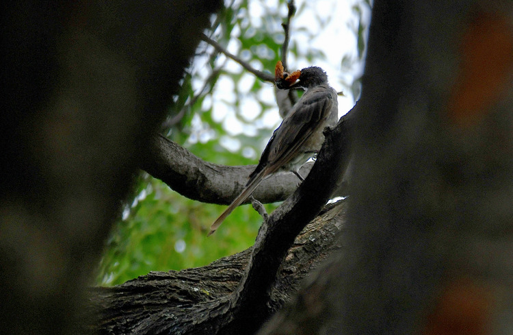 D5003_085649
