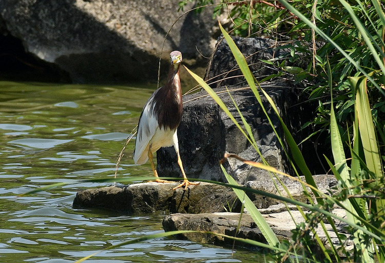 D5003_077663