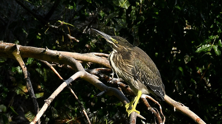 D5003_086044