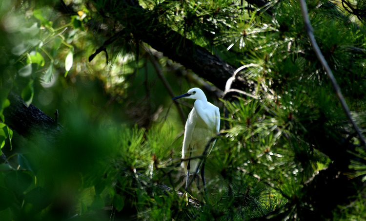 D5003_079281