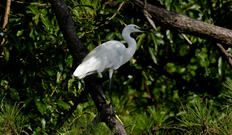 D5003_082381
