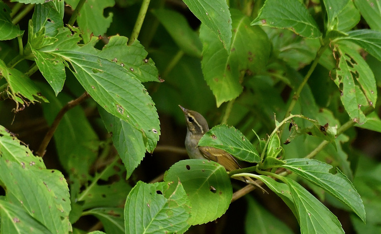 D5003_084707