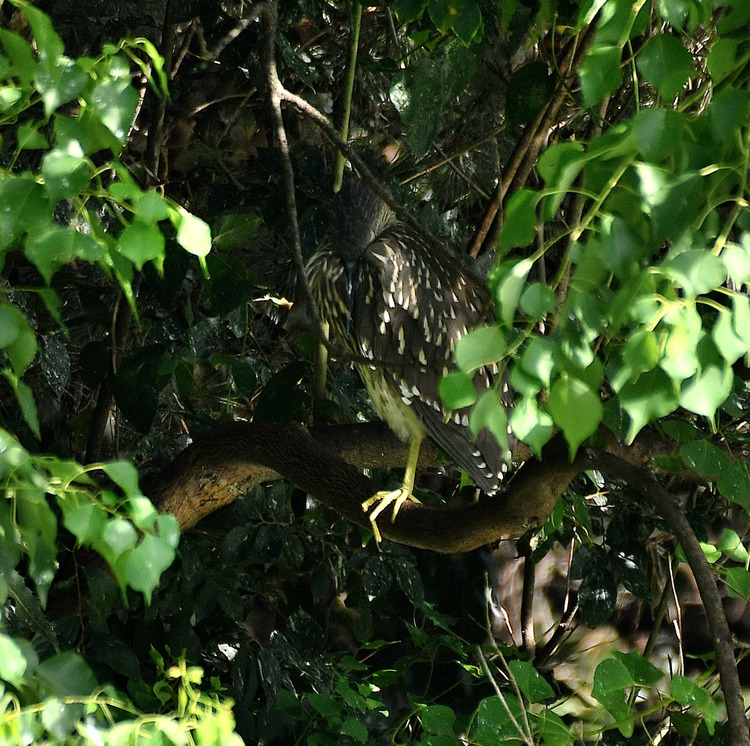 D5003_082358_01
