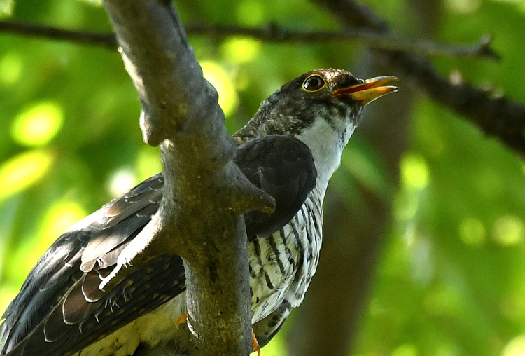 D5003_112435