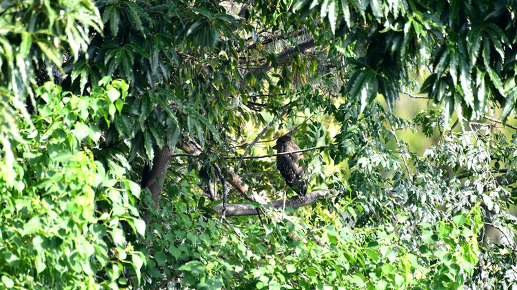 D5003_078856