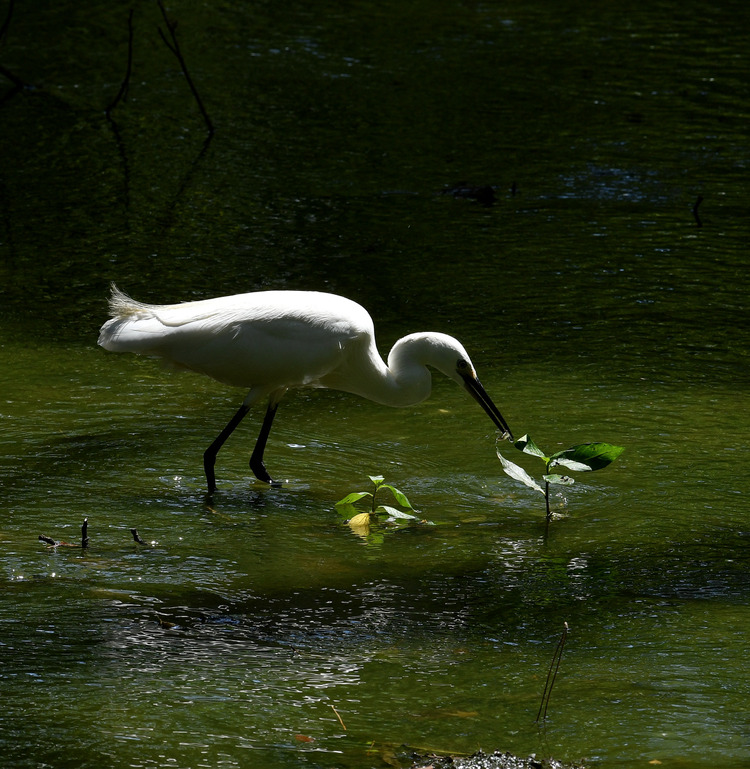 D5003_081250