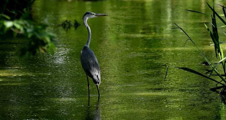 D5003_078849