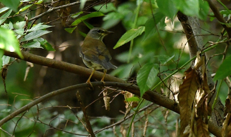 D5003_110859