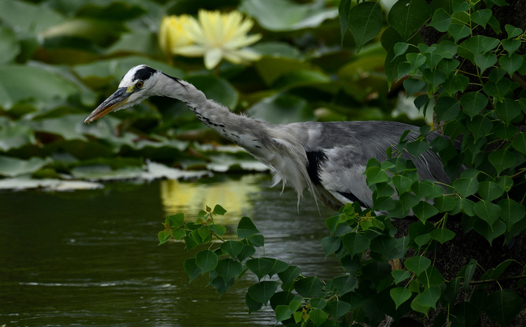 D5003_079397