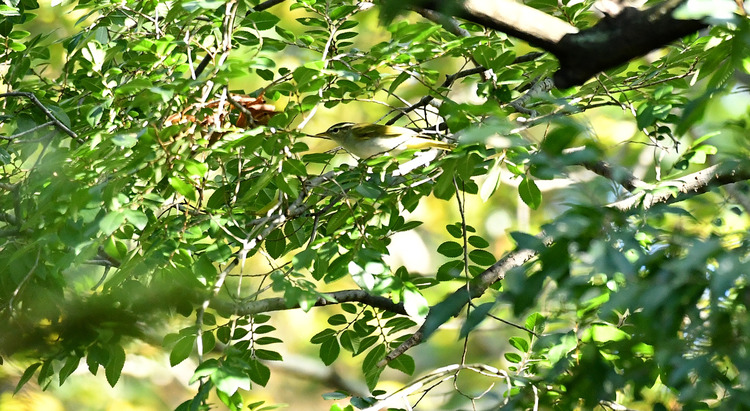 D5003_082109