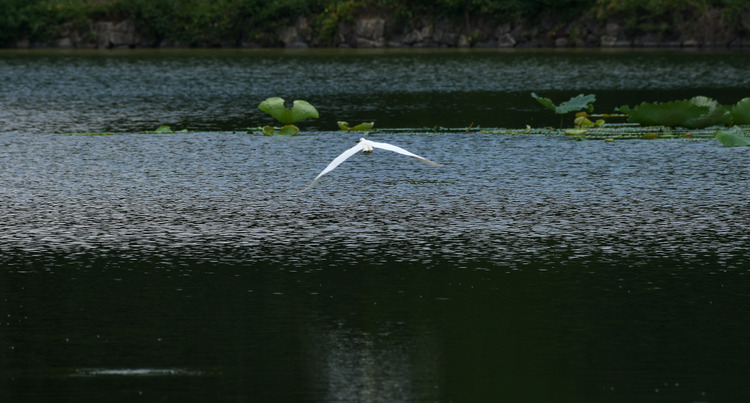 D5003_083258