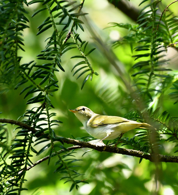 D5003_081845