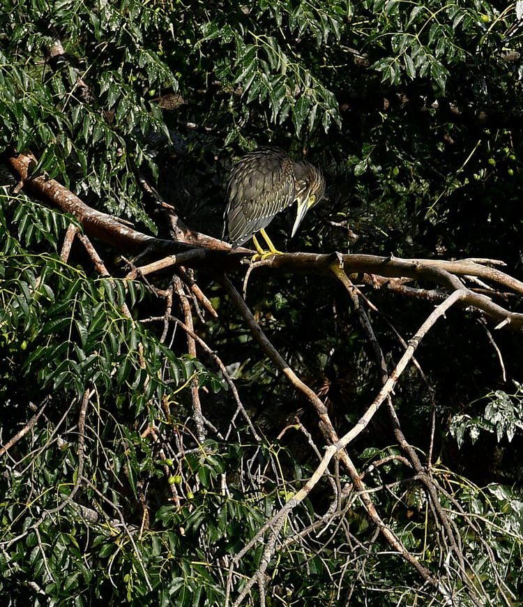D5003_085959