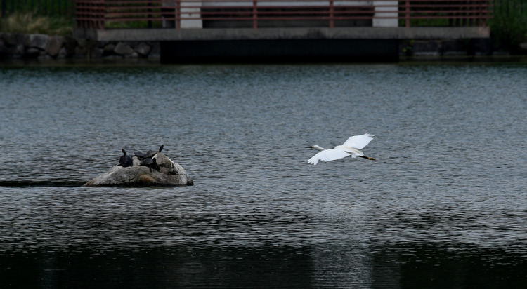 D5003_083265