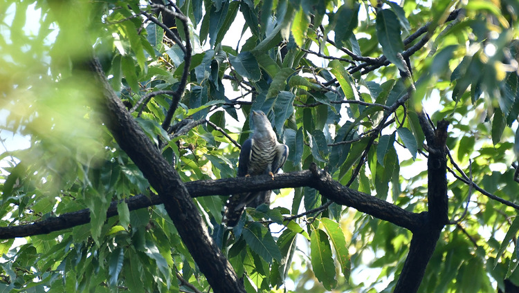 D5003_077966