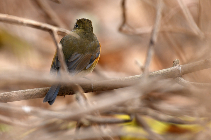 D5003_011659