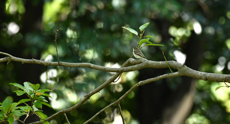 D5003_110940
