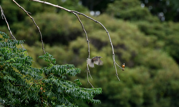 D5003_079808
