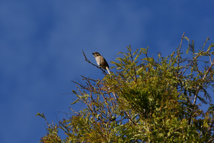 D5003_115237