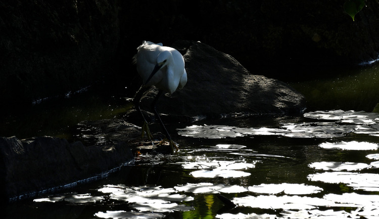D5003_085928