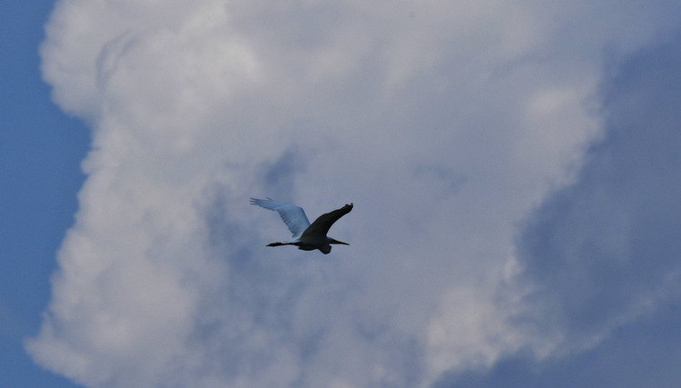 D5003_075522a