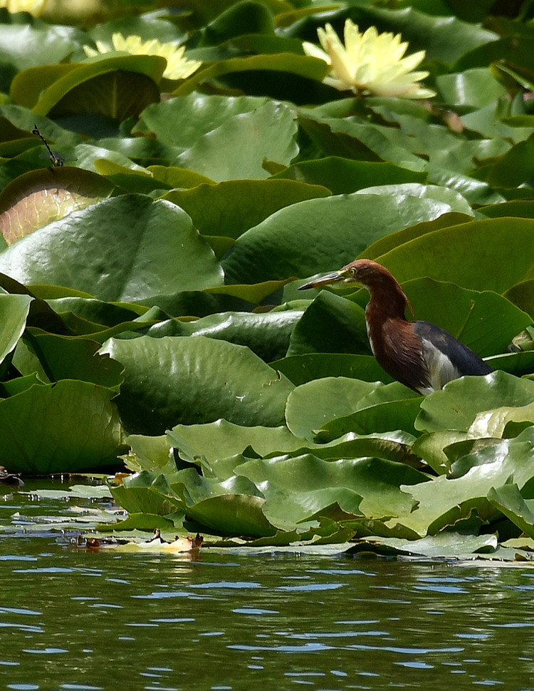 D5003_079023
