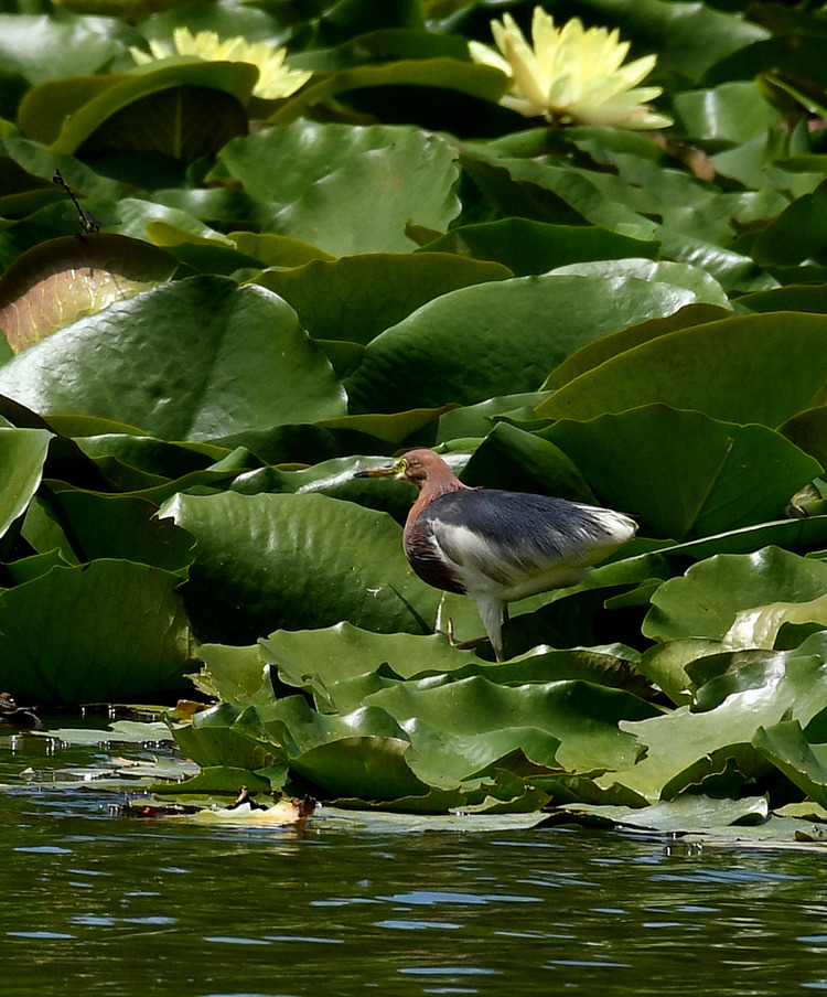 D5003_079028