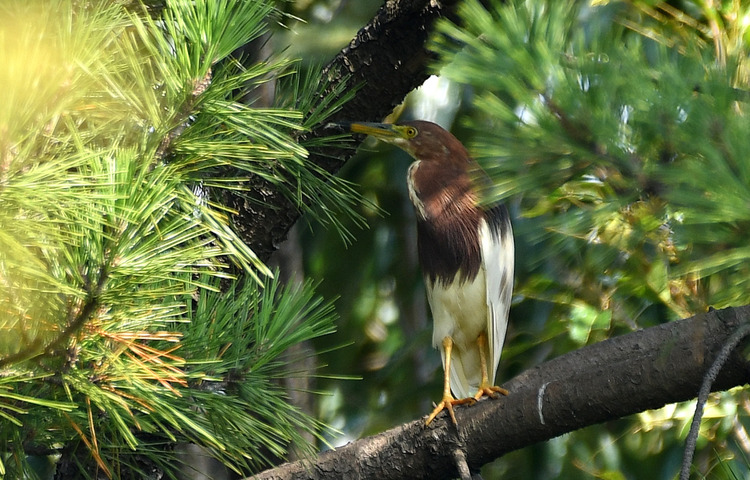 D5003_078048
